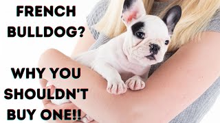 FRENCH BULLDOG? Why NOT to buy!! #dogs #subscribe by PuppyNation 13,987 views 1 year ago 5 minutes, 22 seconds