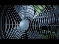 24 Hours Fan White Noise for Sleep | Fall Asleep Fast, Stay Asleep & Calm Mind
