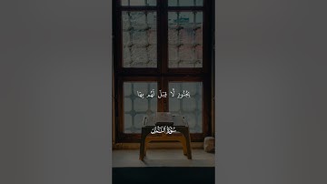 فلما جاء سليمان قال أتمدونن بمال فما آتاني الله خير مما آتاكم - سورة النمل 🎤💝 #القران_الكريم #فلسطين