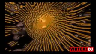 Chinese Disco Dance 8 - Novembar 2016 New