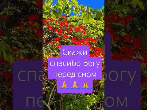 Скажи спасибо Богу! Трогательно до слёз #трогательно #дослез #доброеутро #подпишись #рекомендации