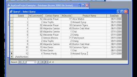 Microsoft Access ® 2003 Sales Invoice: 1 Relationships
