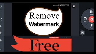 How To Remove Watermark From Kinemaster for Free In 2020 | Its Different | Pro Tech Np