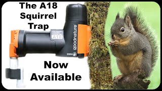 The A18 Squirrel Trap Is Now Available In The United States. Mousetrap Monday