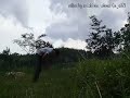 Tutorial Salto!!! Habiskan Masa Gagalmu