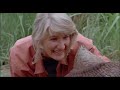 Jurassic Park [1993] - Triceratops Screen Time 