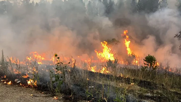 US adapts to prolonged wildfire smoke exposure