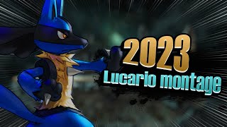 The best of Lucario from 2023!