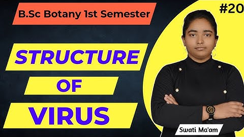 Structure Of Virus | B.sc. Botany 1st Semester | Swati Ma