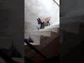 هوما بوندا وانا وحدي