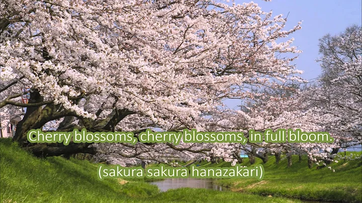 Japanese Folk Song #9: Cherry Blossoms （さくらさくら/Sakura Sakura）