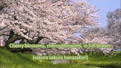Japanese Folk Song #9: Cherry Blossoms ï¼ˆã•ãã‚‰ã•ãã‚‰/Sakura Sakuraï¼‰  - Durasi: 2:18. 