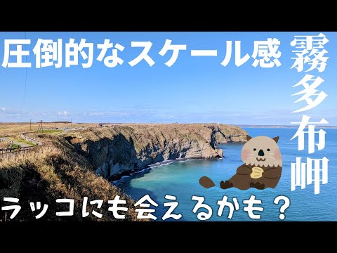 圧倒的なスケール感!ラッコにも会えるかも?「霧多布岬」を散策【GoPro HERO 11 Black】