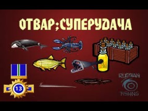 Video: Ako Chytať Ryby V Hre „Russian Fishing“
