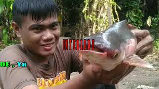 Hujanlah Turun Pulo (Lagu Minang) | Versi Style || KARAOKE KN7000 FMC