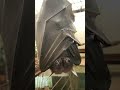 自分の翼で丸まって眠るインドオオコウモリ！Indian flying fox uses his wing like a cloak