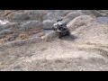 DB rzr at the pits