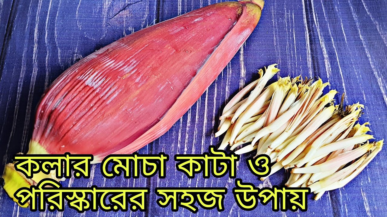 Nopok ayol ayolni sikadi