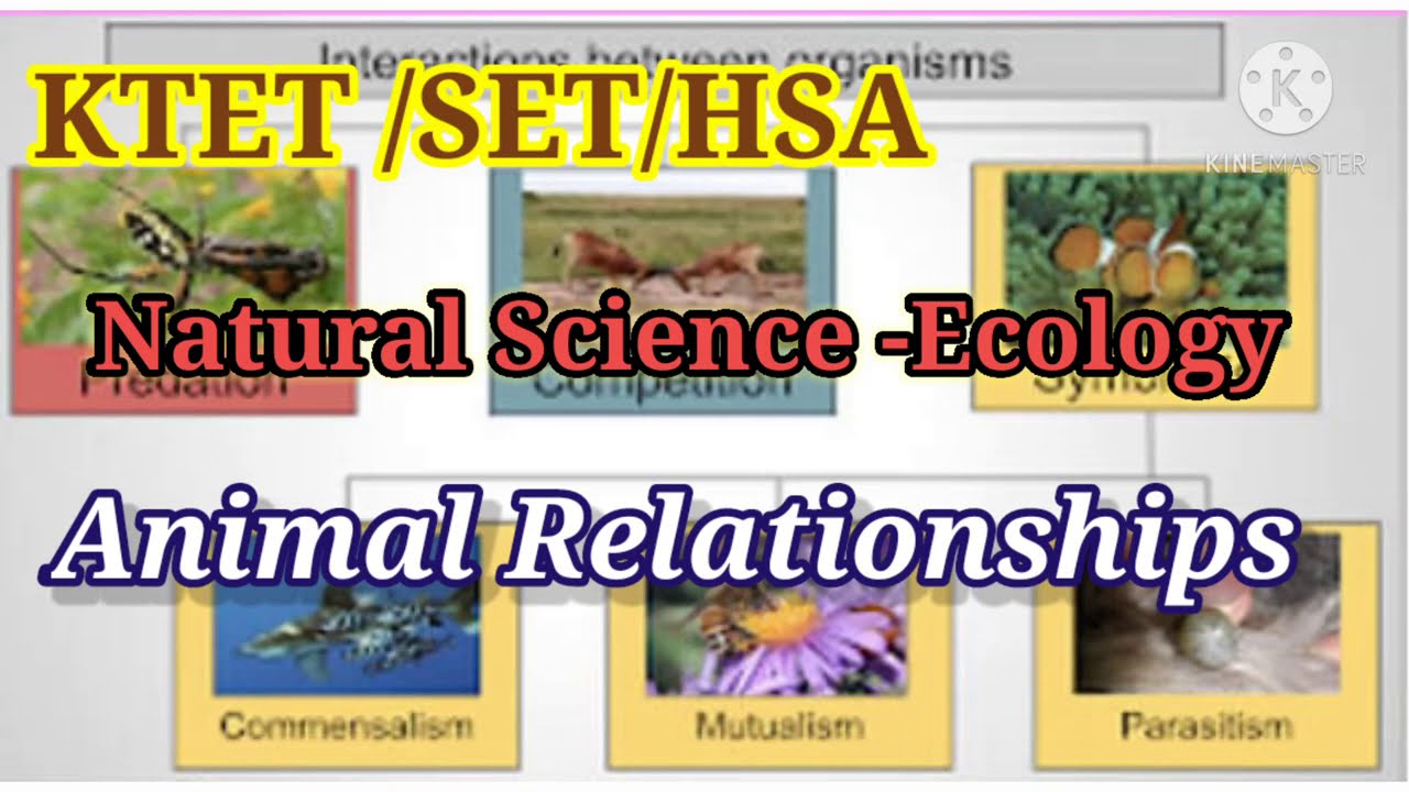 Natural Science -Ecology( Animal Relationship )