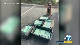 80 kilograms of cocaine worth about $25 million seized with help of Arcadia K-9