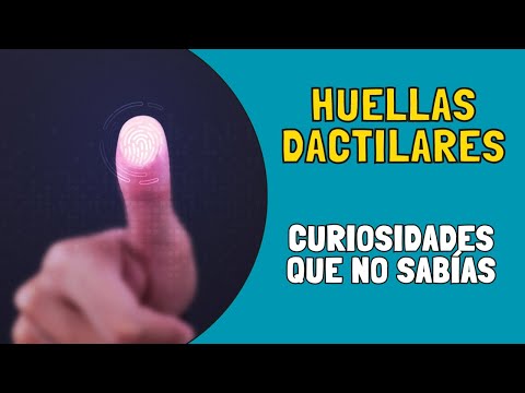 🔎 13 Curiosidades