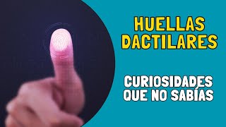 🔎 13 Curiosidades de las HUELLAS DACTILARES