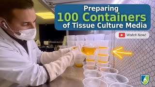 Making Tissue Culture Media for 100 Deli Containers!