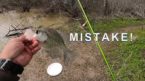 Prespawn CRAPPIE couldn