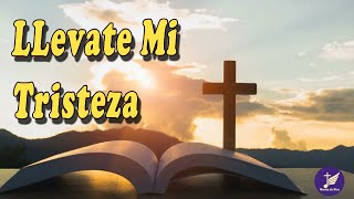 LLÉVATE MI TRISTEZA | 1 HORA MÚSICA DE ORACION | PADRE CHELO DE MÚSICA CATÓLICA #15