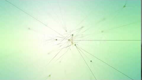 Abstract Plexus Themed Logo Reveal After Effects Template