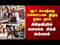 Dog CCTV | ரூ.1 லட்சத்தை அசலாட்டாக திருடி ஓடிய நாய் - சிசிடிவியில் வசமாக சிக்கி அம்பலம்