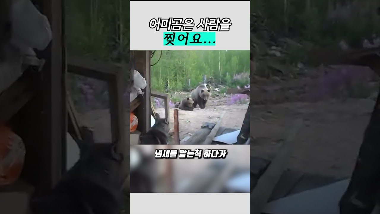 거리에 들어온 순간 끝난겁니다...