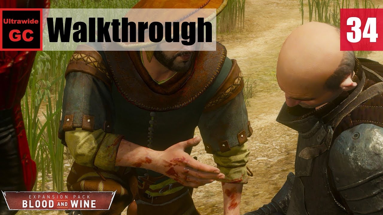 The Witcher 3: Blood and Wine [#34] - Extreme Cosplay || Walkthrough