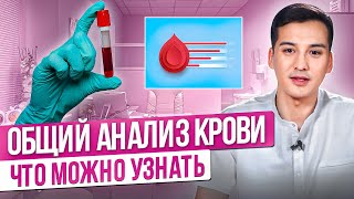 Общий анализ крови - расшифровка. Зачем нужно сдавать анализы? Анализ крови - расшифровка анализов!