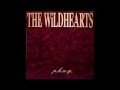 THE WiLDHEARTS - NiTA NiTRO