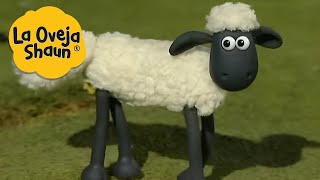 La Oveja Shaun 🐑 AVENTURA CON OVEJAS  🐑 Dibujos animados para niños