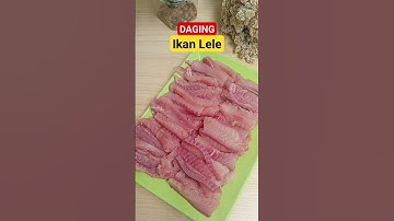 Thumbnail of lele fillet enaknya dibikin crispy #shorts
