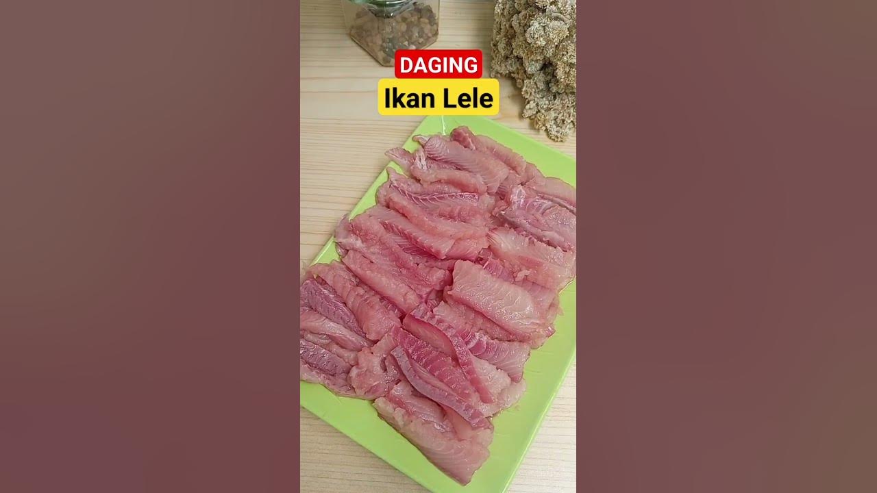 lele fillet enaknya dibikin crispy #shorts