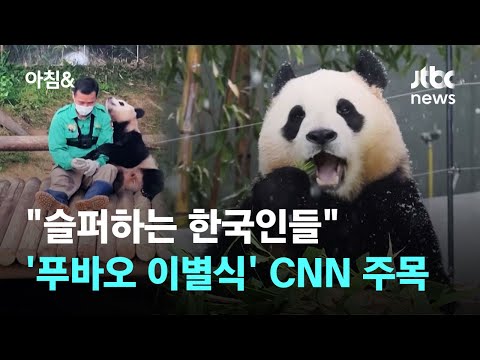 &quot;슬퍼하는 한국인들…&#39;푸바오 할아버지&#39;도 스타&quot; CNN 주목 / JTBC 아침&amp;