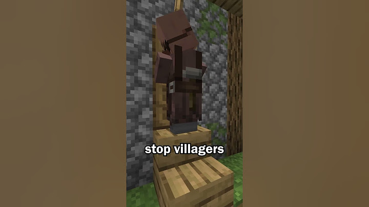 Villagers Can’t Open this Door in Minecraft