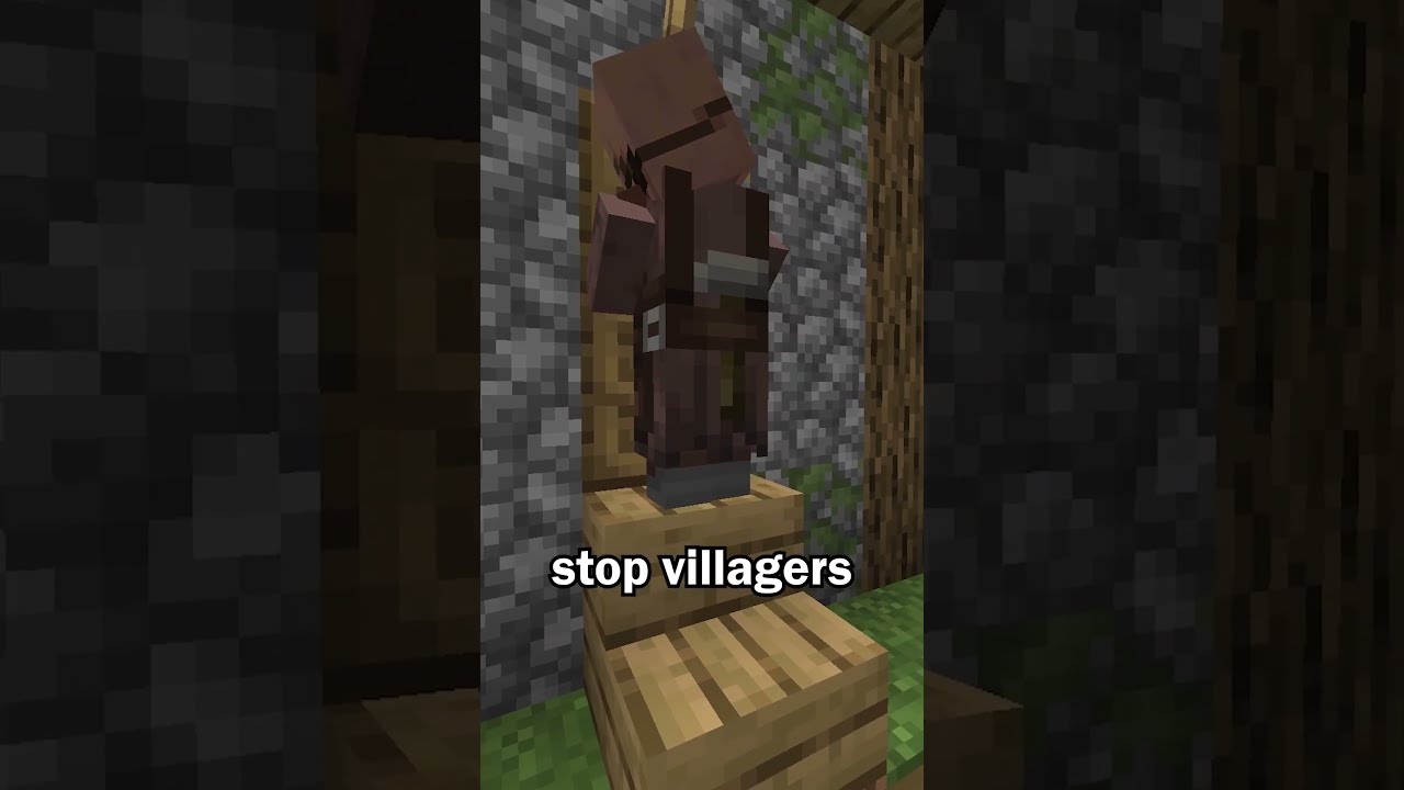 Villagers Can T Open This Door In Minecraft