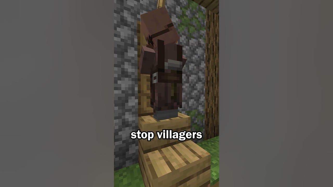 Villagers Can’t Open this Door in Minecraft
