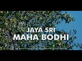 Jaya sri maha bodiya short version   8 english