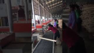 Twin Blades Board Edger Production Line