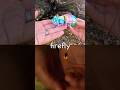Learn Bug Insect Names for Kids by the Branch: Firefly Snail Spider Millipede Cricket