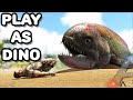 THIS GIANT CRAZY FISH CAN LIVE ON LAND !! | PLAY AS DINO | ARK SURVIVAL EVOLVED