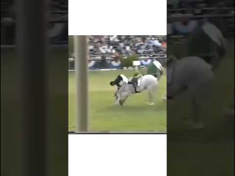 حصان يقفز قفزة جنونية