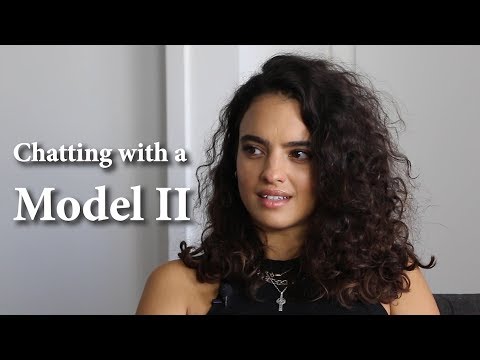 Video: Chatting with the model