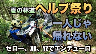 一人じゃ遭難？林道で迷ったり、進めなかったり。セロー２台とXRも友達とエンデューロツーリング。ヒルクライムに初挑戦して仕上がった。　＃セロー　＃ツーリング　＃モトブログ