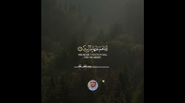 إِنَّ الاَْبْرَارَ لَفِى نَعِيم (13) #ياسر_الدوسري #تبصرة #تلاوات #سورة_الإنفطار #قران_الكريم #قرآن